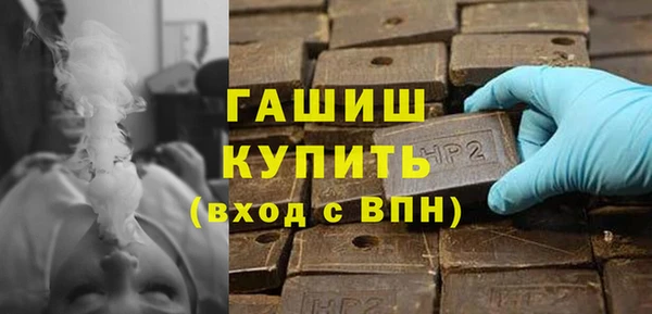 индика Арсеньев
