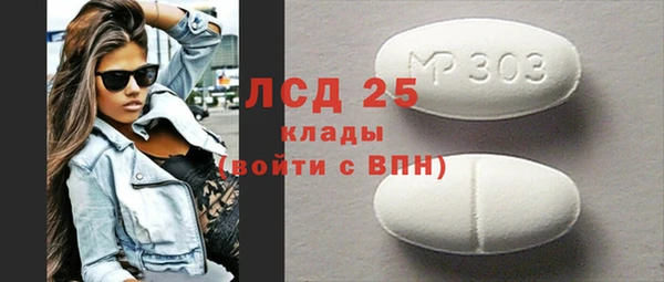 индика Арсеньев