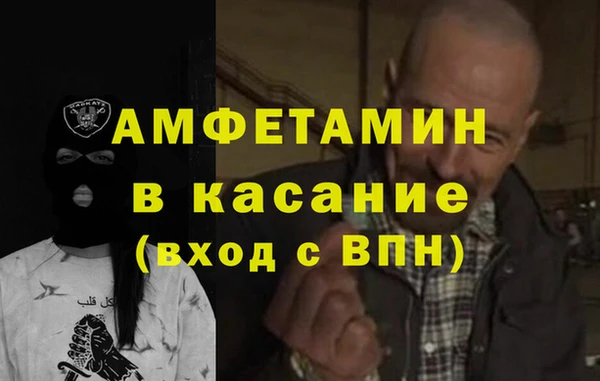 индика Арсеньев