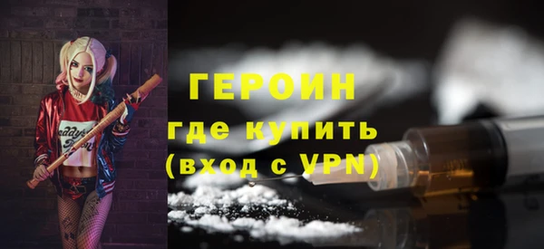 индика Арсеньев