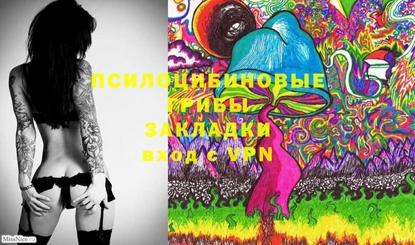 спайс Аркадак