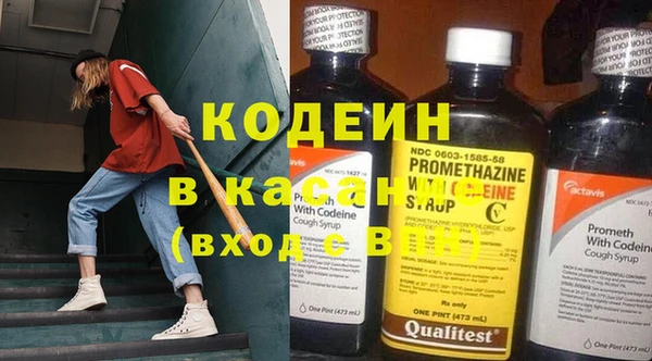 индика Арсеньев