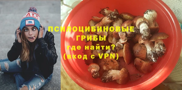 индика Арсеньев