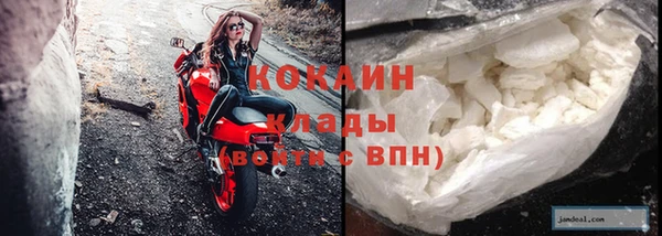 индика Арсеньев
