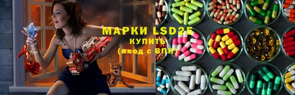 спайс Аркадак