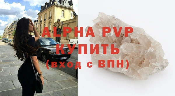 индика Арсеньев