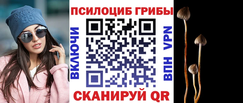 Галлюциногенные грибы Psilocybine cubensis  ссылка на мегу как войти  Зеленоградск 